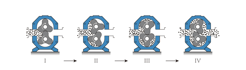 What kind of pump does the lobe pump belong to? How does it work?cid=19