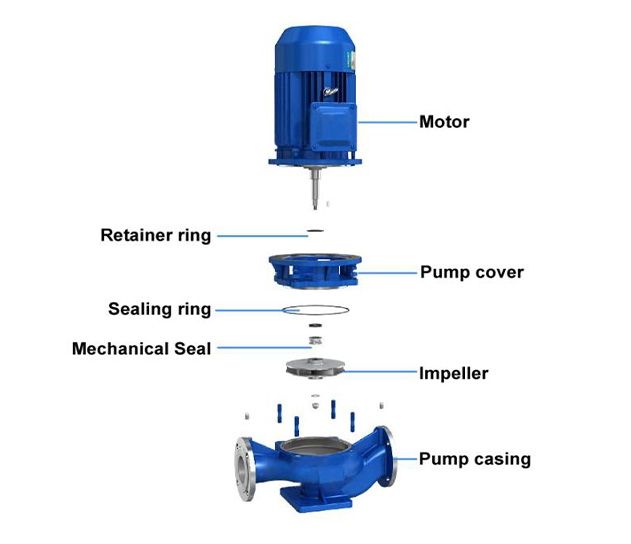 Vertical direct-coupled pump structure diagram